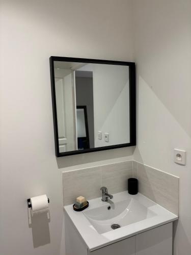 une salle de bain avec un lavabo et un miroir dans l'établissement La Cigalière 1 charmant T1 bis avec terrasse dans villa, à Solliès-Ville