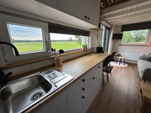 una cucina con lavandino e bancone con due finestre di T'hûs bed & breakfast a Katlijk