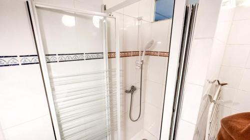 une douche avec une porte vitrée dans une salle de bain dans l'établissement Cosy appartement proche Paris - aéroport CDG - RER D à 8 min à pied, à Goussainville