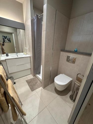 une salle de bain avec toilettes et lavabo dans l'établissement L'Esquisse Coquelicot - Parking Clim Netflix Canal, à Milhaud