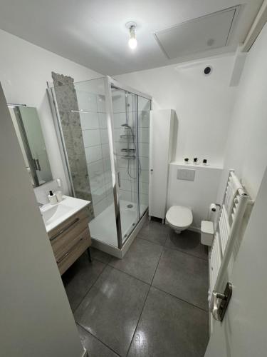 une salle de bain avec une douche, des toilettes et un lavabo dans l'établissement T3 10 min de aeroport St exupery plein centre ville, à La Verpillière