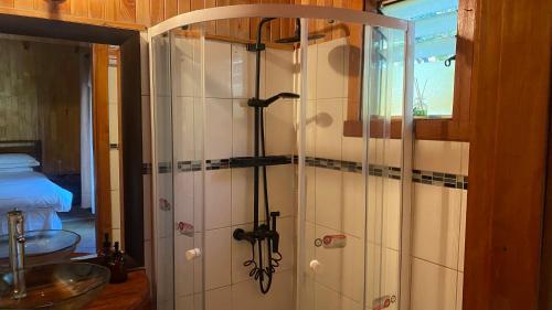 Habitación con baño con ducha y lavabo. en Cascadas del Llaima, en Refugio Llaima