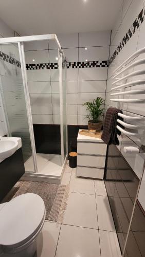 a bathroom with a shower and a toilet and a sink at PRADA Apartament Konin in Konin