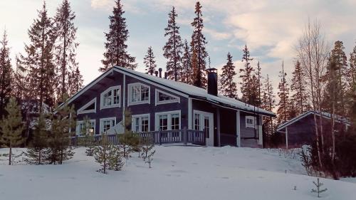 RUKA, RiversideVilla with Sauna, Fireplace, Terrace, Wifi, Aurora, Swimming om vinteren