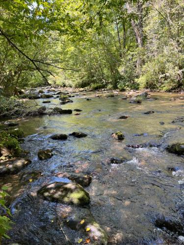 a stream with rocks and trees in a forest at Twin Oaks in Bryson City