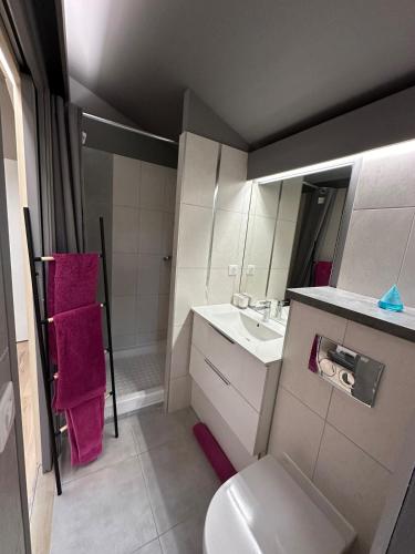 une petite salle de bain avec toilettes et lavabo dans l'établissement L'Esquisse en Rose - Parking Clim Netflix Canal, à Milhaud