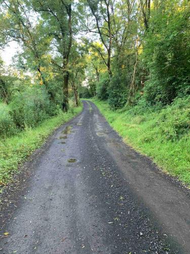 a dirt road in the middle of a field at The Burrow in Glenoe