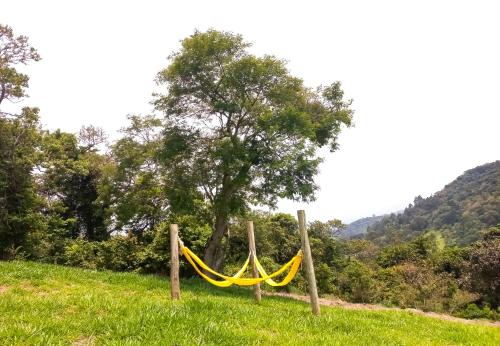 a yellow hammock in a field with a tree at Embahu Suítes - Vista para Pedra do Baú e banheira de imersão in Santo Antônio do Pinhal