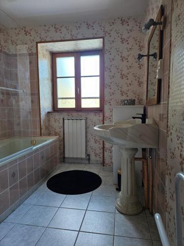 une salle de bain avec un lavabo et une baignoire dans l'établissement Chez Gaby, à Montgreleix