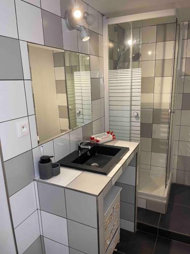 une salle de bain avec un lavabo et un miroir dans l'établissement Le Masséna d'Or, Calme, Métro, et Parc Tête D'or, à Lyon