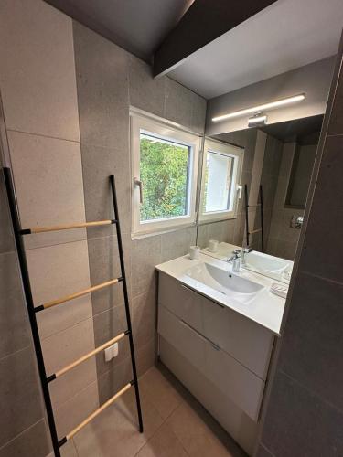 une salle de bain avec un lavabo et un miroir dans l'établissement L'Esquisse Taupe - Parking Clim Netflix Canal, à Milhaud