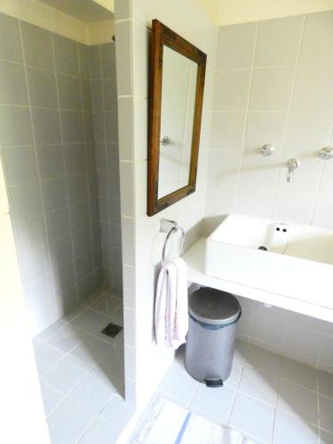 une salle de bain avec un lavabo, des toilettes et un miroir dans l'établissement Le Chantegrillet Grand Studio Quiet Garden, à Sainte-Foy-lès-Lyon