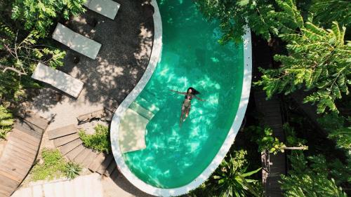 an overhead view of a person swimming in a swimming pool at Casa Selva Sayulita in Sayulita