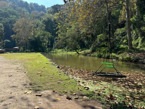 a swing in the middle of a river at Boscana Forest Resort & Residence in Coscomatepec de Bravo