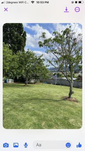 a screenshot of a picture of a tree in a field at Modern and spacious 1 bedroom holiday home in Whangarei