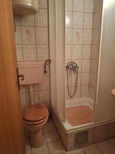 a bathroom with a toilet and a shower at Restoran Prenociste As in Trnovo