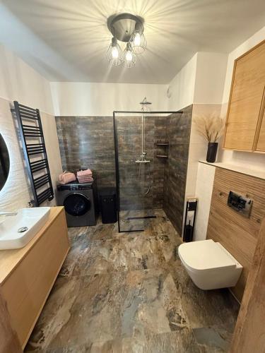 a bathroom with a shower and a toilet and a sink at Apartament Elegancka Husarska in Wałbrzych