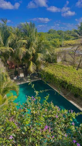 a pool of blue water with palm trees and flowers at Hotel Jaiba Mahahual - Adults Only in Mahahual