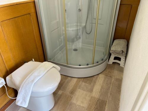 a bathroom with a shower and a toilet at Studio in Tramelan