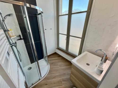 une salle de bain avec douche et lavabo dans l'établissement Studio climatisé face Loire et château le 4-5, à Amboise