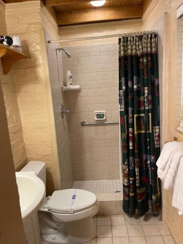 a bathroom with a toilet and a shower curtain at Mountain Aire Cottages, Inn, & Glamping in Clayton