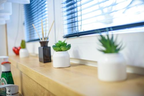 a row of plants sitting on a counter in a window at Apartmány Volavka 1 in Planá nad Lužnicí