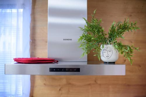 a plant in a white vase sitting on a shelf at Apartmány Volavka 1 in Planá nad Lužnicí