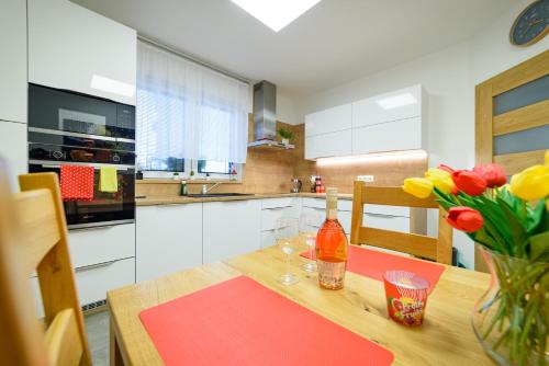 Kuchyň nebo kuchyňský kout v ubytování Apartmány Volavka 1