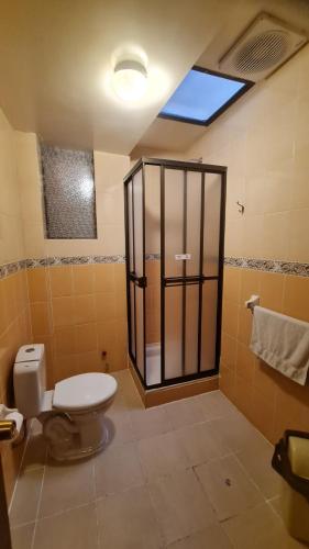a bathroom with a toilet and a shower with a window at Hostal Montañes in La Paz