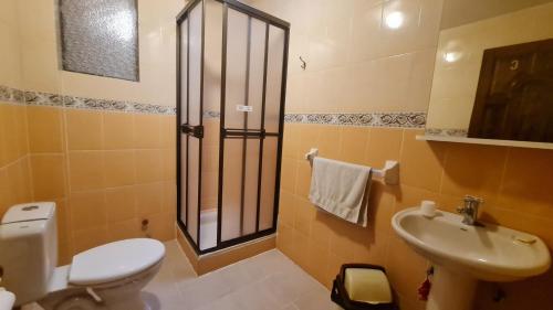 a bathroom with a toilet and a sink at Hostal Montañes in La Paz