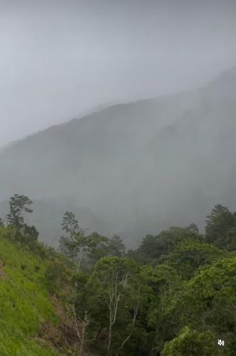 a view of a misty forest with trees in the background at Vista Montaña Jimenoa De La Rosa in Jarabacoa