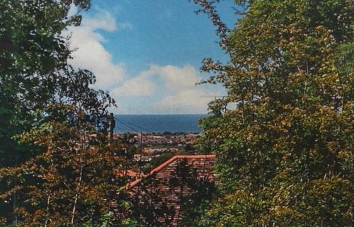 a view of a city from between two trees at Bright cozy rooms in Meliden in Meliden