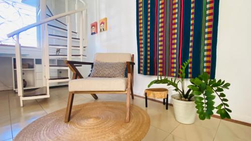 a chair sitting in a room with a plant at Casa Palencia Hotel and Breakfast in Mazatlán