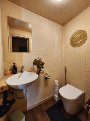 a bathroom with a sink and a toilet and a mirror at Danseys Pass Lavender Farm Retreat in Livingstone
