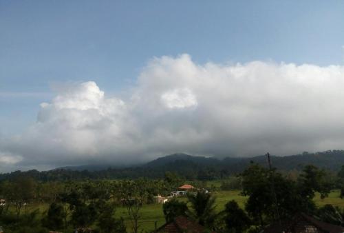 Gallery image of Green Villa in Virajpet