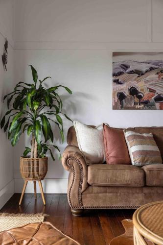 a living room with a couch and a plant at Black Cockatoo Bangalow in Binna Burra