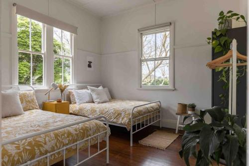 a bedroom with two beds and two windows at Black Cockatoo Bangalow in Binna Burra