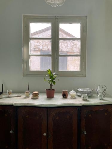 a table with potted plants on it with a window at Casa de campo en Torres in Luján