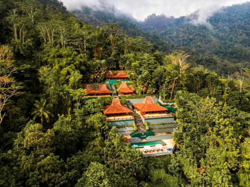 an aerial view of a resort in the jungle at Villa Borobudur Resort in Borobudur