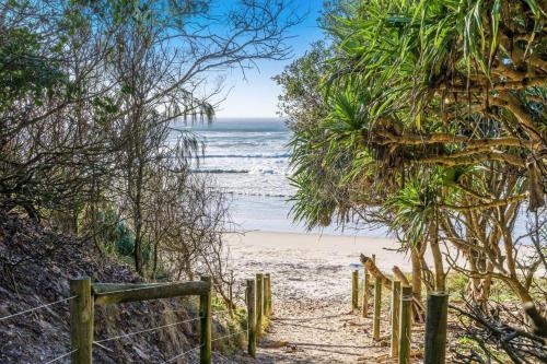 a path to the beach with trees and the ocean at Daffys Beach House in Suffolk Park