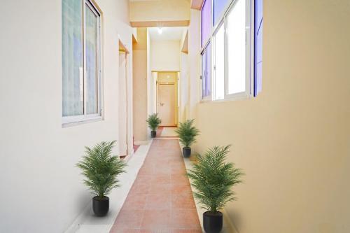 Fotografie z fotogalerie ubytování Hotel O City Lodge v destinaci Erode