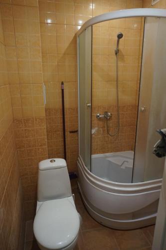 a bathroom with a shower with a toilet and a tub at Apartament Erfolg 3 in Daugavpils