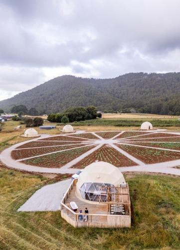 a field with domes in a field with people inside at Mount Gnomon Farm in Penguin