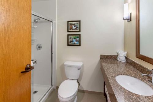 a bathroom with a toilet and a sink and a shower at Comfort Suites Ogden Conference Center in Ogden