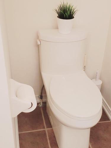 a bathroom with a toilet with a plant on top of it at Mavis Place in Brampton