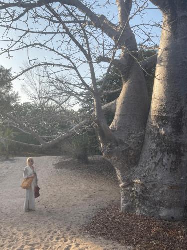a woman standing next to a tree on the beach at Poco Loco B&B in Abene
