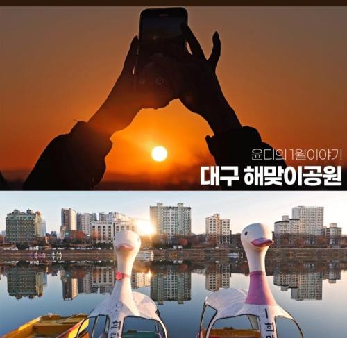 a person taking a picture of the sun and two swans at House of Gallery Hyomok in Daegu