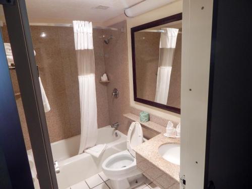 a bathroom with a tub and a toilet and a sink at Howard Johnson by Wyndham Arlington Ballpark / Six Flags in Arlington