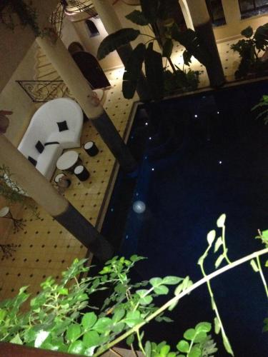 an overhead view of a room with plants at Kasbah Titrit & Spa in Aït Ben Haddou