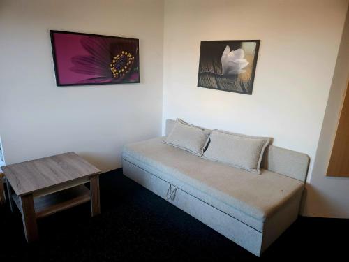 a small room with a bed and a table at Penzion u Martina in Liberec